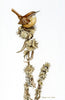Illustration of a bird perched on a branch with dried flowers against a white background