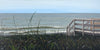 Painting of a coastal scene with grass, a wooden fence, and the ocean.