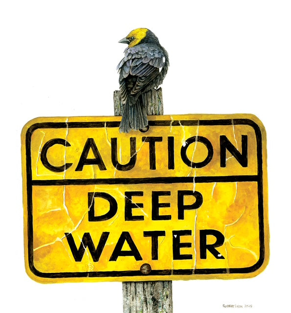 Bird perched on a 'Caution Deep Water' sign with a yellow background