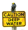Bird perched on a 'Caution Deep Water' sign with a yellow background