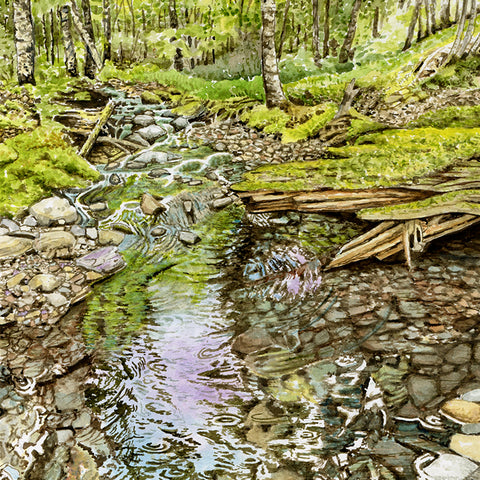 Stream flowing through a forest with greenery and rocks.