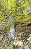 Stream flowing through a forest with greenery and rocks.