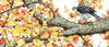 Bird perched on a branch with autumn leaves