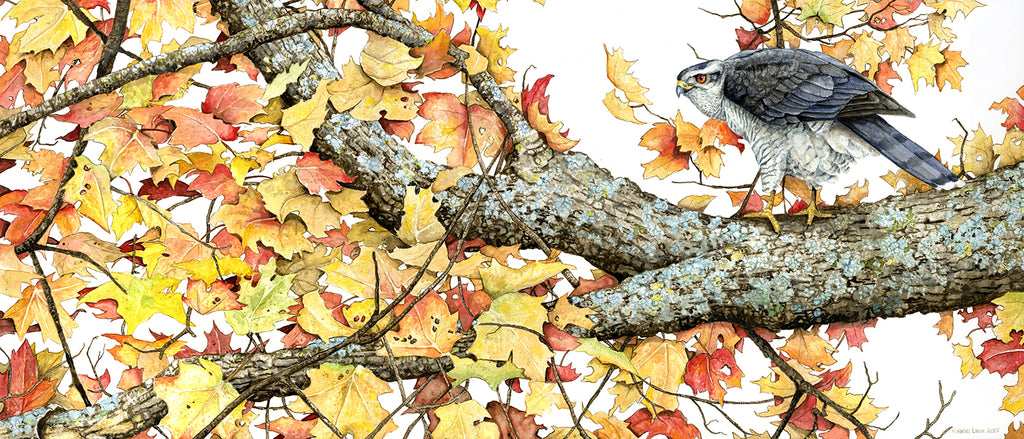 Bird perched on a branch with autumn leaves