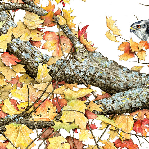 Bird perched on a branch with autumn leaves