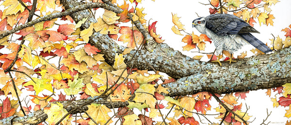 Bird perched on a branch with autumn leaves