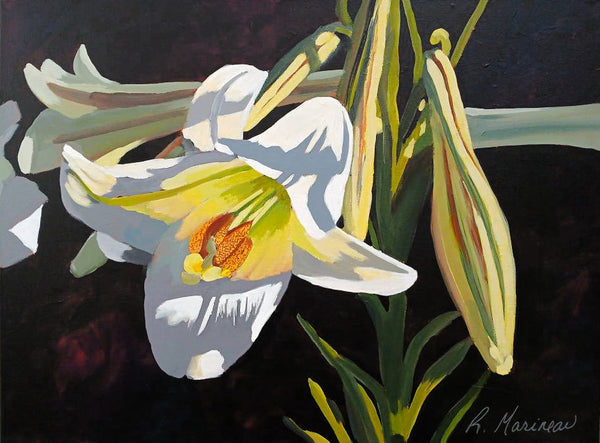 white lilies in dappled sunlight