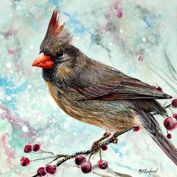 a female cardinal perched on a holly bough