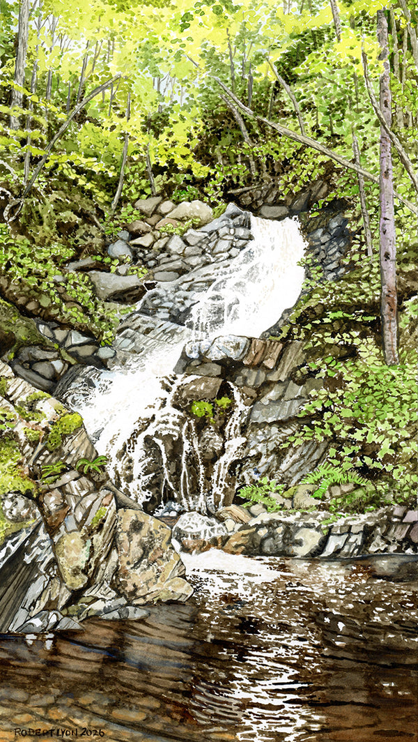 Waterfall in a forest with rocks and greenery