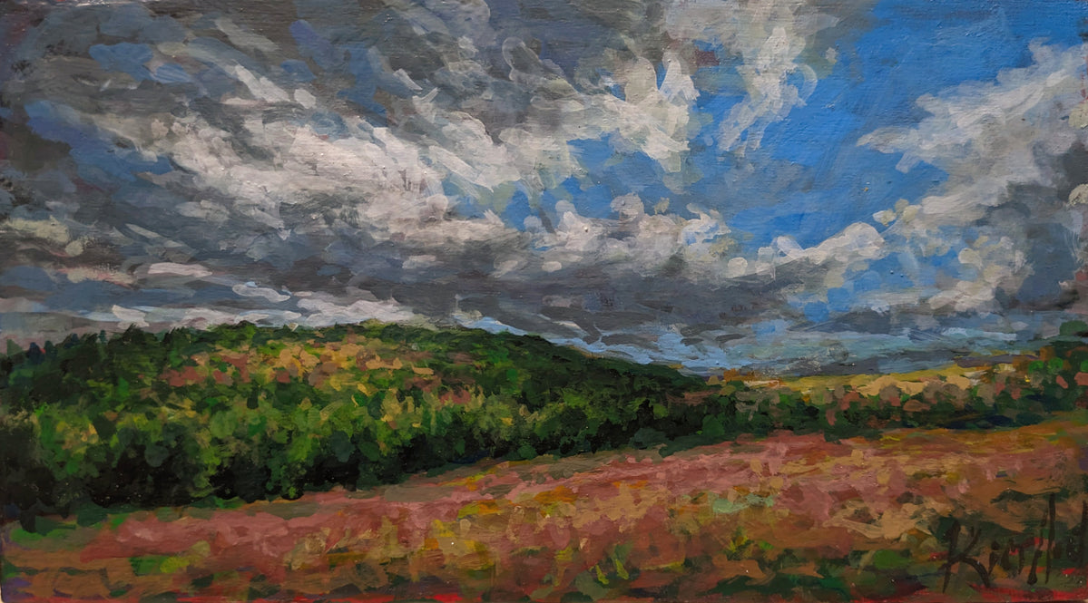 Cloud Reach– 14 Bells Fine Art Gallery