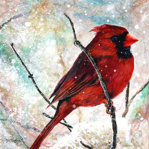 a male cardinal perched on a branch with snow in the background