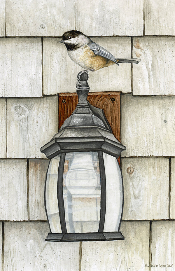 Bird perched on a lantern against a wooden wall