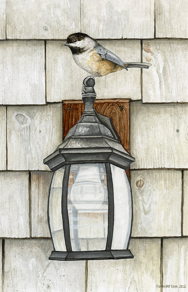 Bird perched on a lantern against a wooden wall