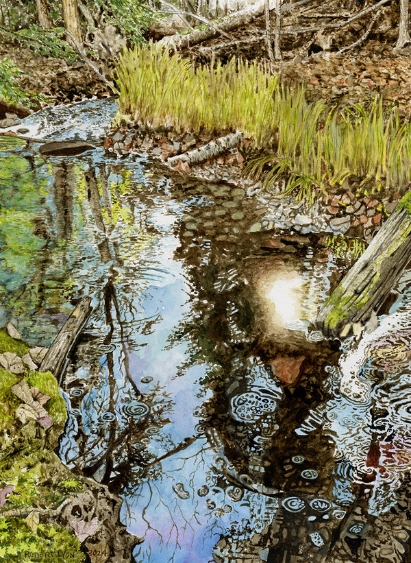 watercolour painting of a forest stream