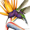 Colorful hummingbird perched on a tropical flower with 'Robert Lyon 2025' signature.