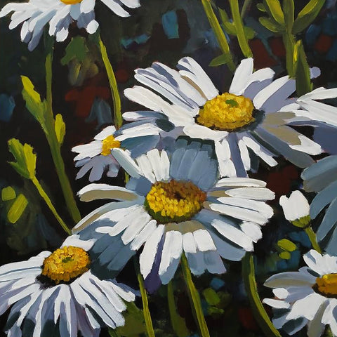 close up painting of white and yellow daisies