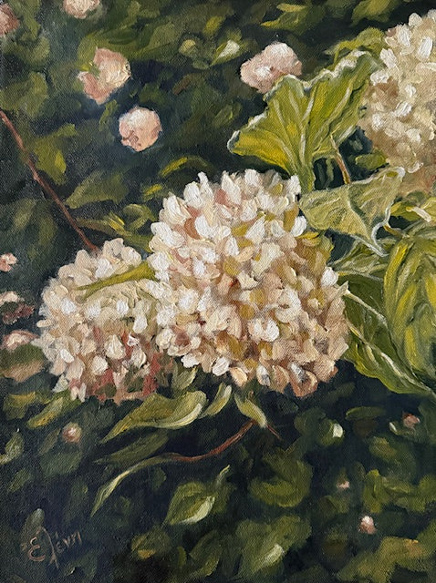 oil painting of white hydrangeas