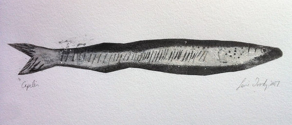 a small etching of a capelin fish by Newfoundland Artist Lori Doody